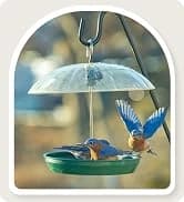 Metal Bird Feeders for Outdoors Hanging — collection imagery