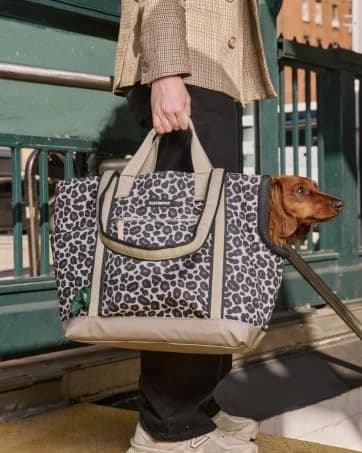Snackpack Double Insulated Dog Treat Pouch – 1.5 Cup Capacity — collection imagery