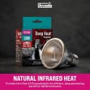 Deep Heat Emitter 50watt for Reptile Enclosures