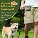 Dog Treat Pouch — Portable Puppy Dog Training Treat Bag