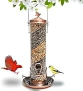 Window Bird Feeder with Strong Suction Cups — collection imagery