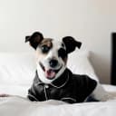 Dog Silk Pajamas Shirt Puppy Satin Pjs for Small Dog