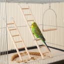 3 Pcs Bird Ladder — Wooden Bird Cage Ladder Bird-Ladder for Cage Climbing Ladders for Parakeets Parrots Cockatoo(4