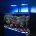 HyperReef 100 Gen 2 LED Reef Aquarium Light