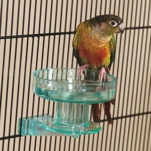 Quick Lock Bird Cage Bath for Lovebirds — collection imagery