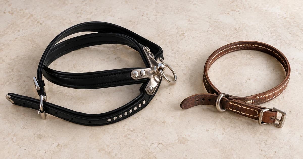 A black multi-strap body harness and a separate brown flat buckle collar rest on a pale neutral surface.