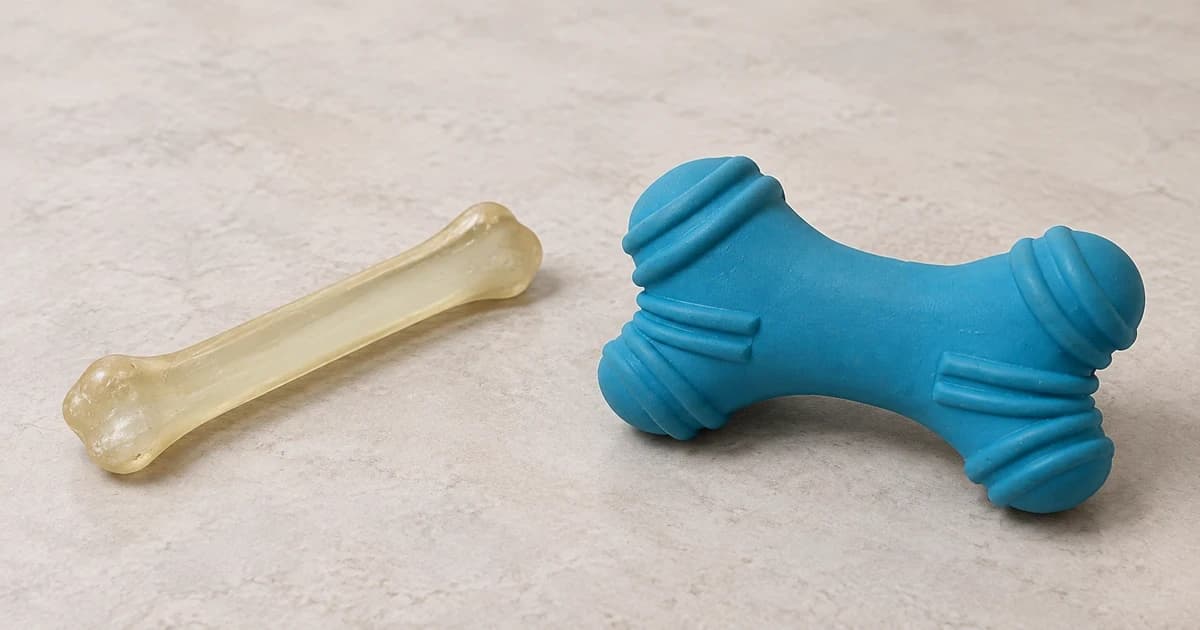 Photo-based edited pale elongated toy and separate blue ridged bone-shaped toy
