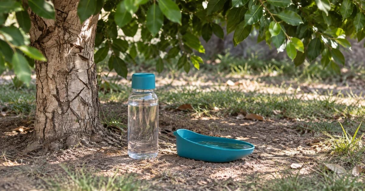 Generic clear water bottle and separate teal drinking trough on shaded ground beneath a leafy tree.