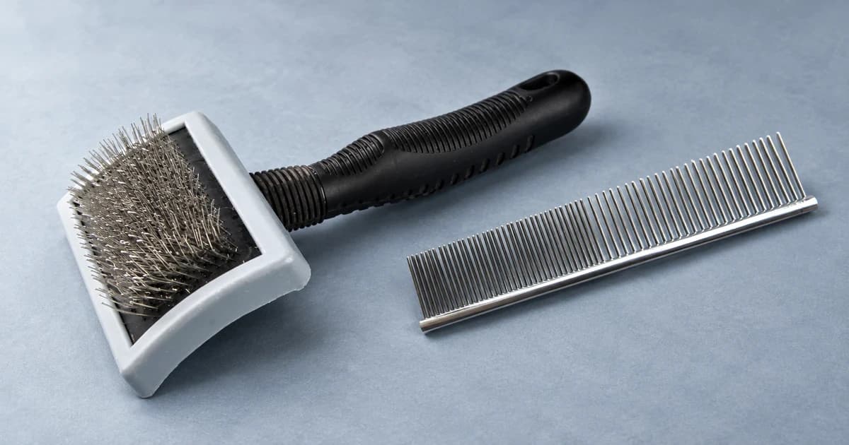 A wire slicker brush with a black handle in front of a separate metal comb on a blue-gray tabletop.