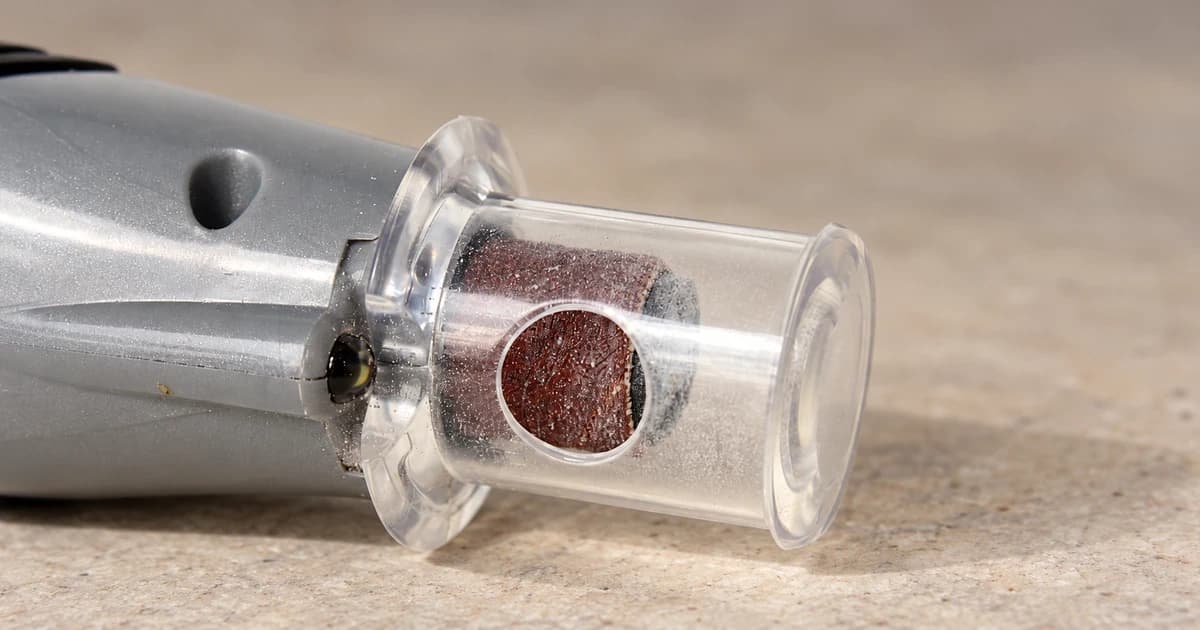 Close-up of a grey pet nail-grinder head with a clear guard and visible abrasive drum.