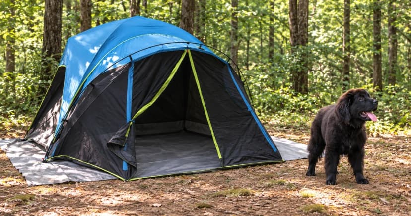 Photo-based edited illustration of a blue-and-black tent with a separate black dog outside in a wooded campsite