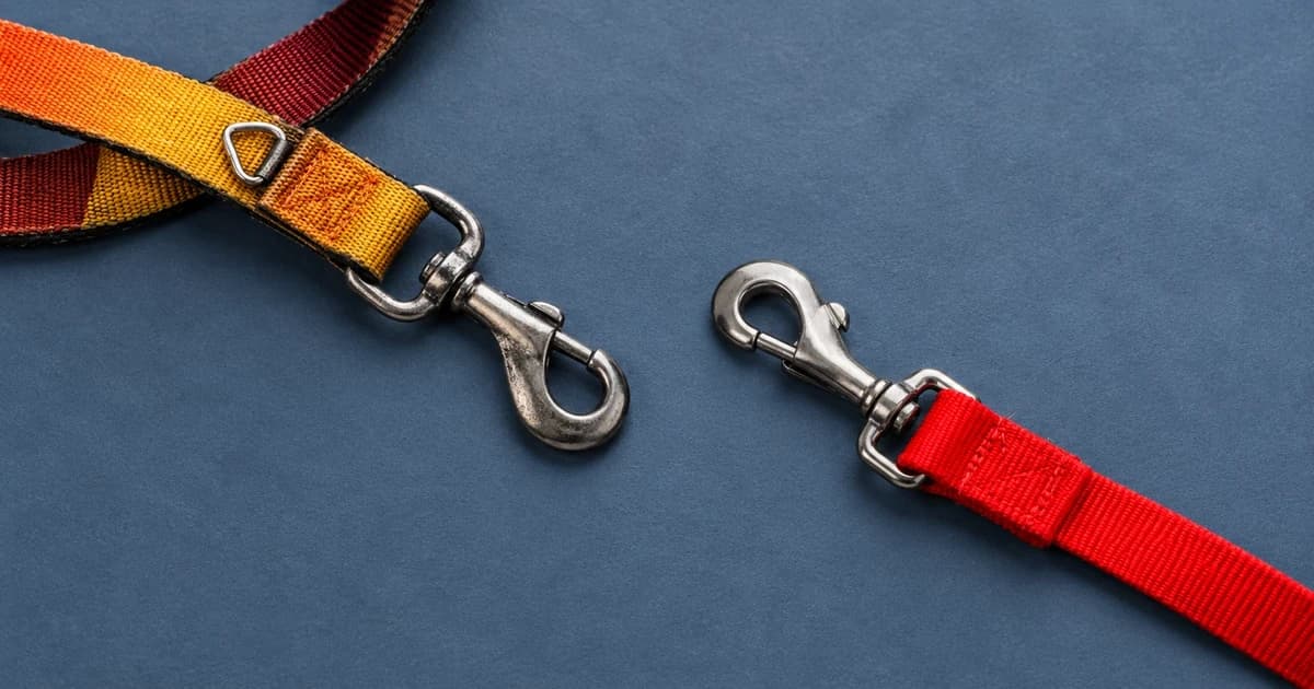 Separate partial multicoloured and red lead segments with metal-looking clips on a blue tabletop.