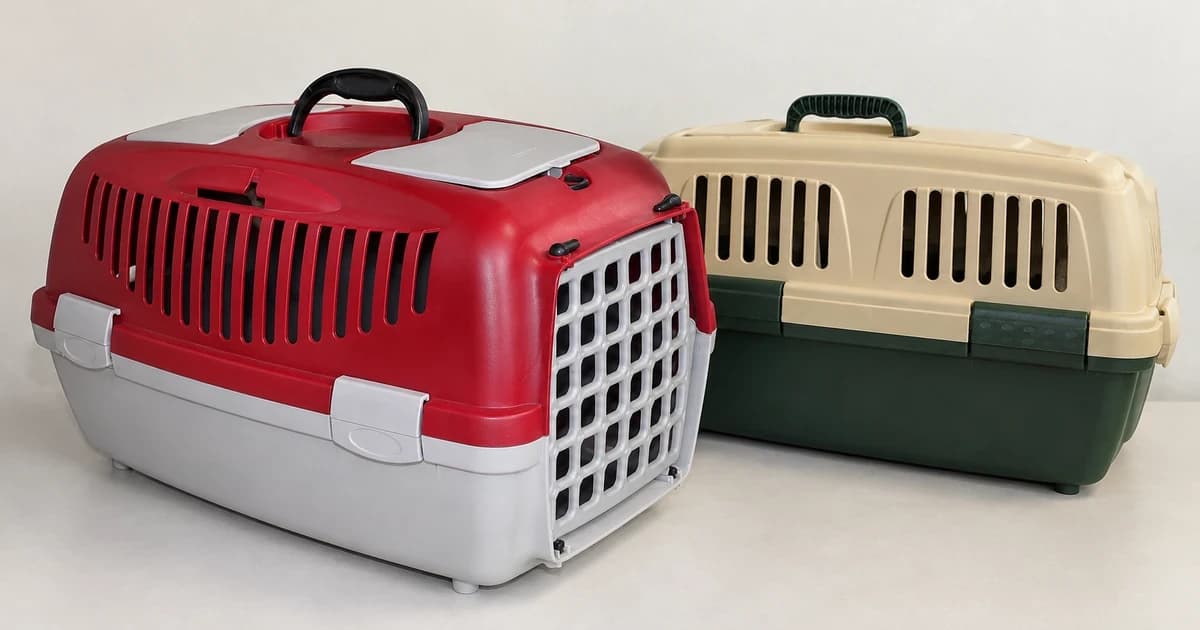 Photo-based edited illustration of separate red-and-gray and beige-and-green hard-sided pet carriers, both empty