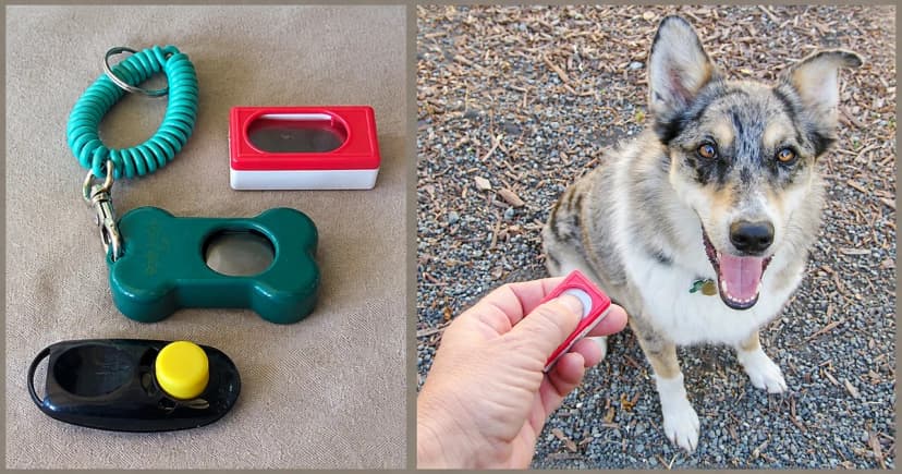 Separate views of three clickers on gray fabric and a merle dog beside a hand holding a clicker.