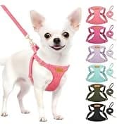 Small Dog Harness and Leash Set — collection imagery