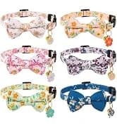 2 Pack Cat Harness and Leash with Collar Set — collection imagery