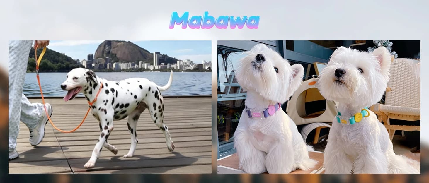 Dog Raincoat — Waterproof Dog Rain Jacket with Hood — collection imagery