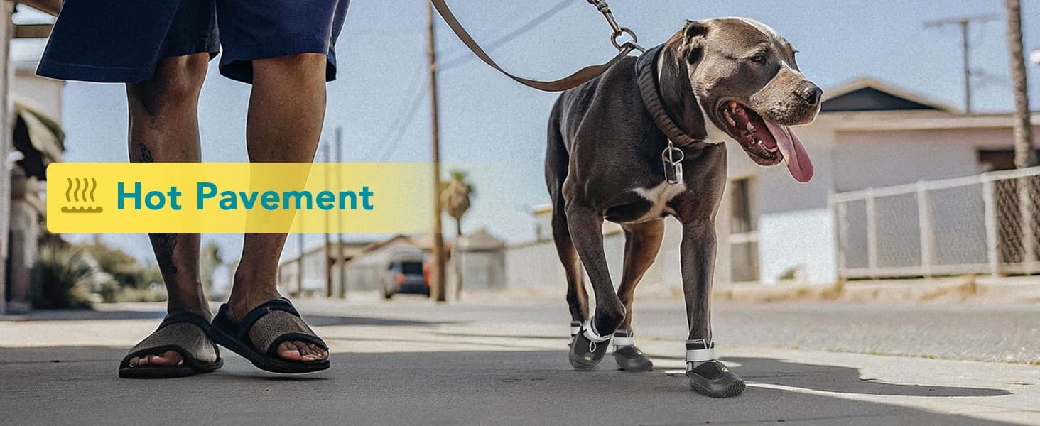 Dog Shoes for Large Medium Dogs — Dog Boots for Hot Pavement Size6 — product details