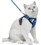 Cat Harness and Leash Set — Adjustable Pet Straps — collection imagery