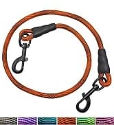 Long Dog Leash — 10/15/20/30/50FT Dog Training Leash with Soft Handle — collection imagery