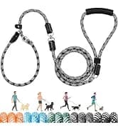 Small Dog Harness and Leash Set — collection imagery