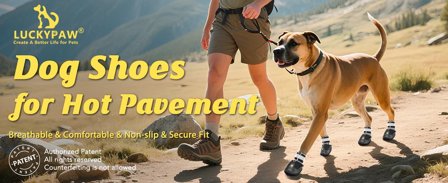 Dog Shoes for Large Medium Dogs — Dog Boots for Hot Pavement Size6 — product details