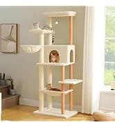 Cat Tunnel S Shape Cat Tunnels for Large and Indoor Cats 51”Long — collection imagery
