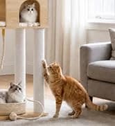 Cat Tunnel S Shape Cat Tunnels for Large and Indoor Cats 51”Long — collection imagery
