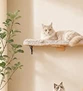 Cat Tunnel S Shape Cat Tunnels for Large and Indoor Cats 51”Long — collection imagery