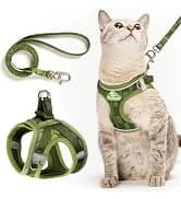 Adjustable Cat Harness and Leash Set — Escape Proof — collection imagery