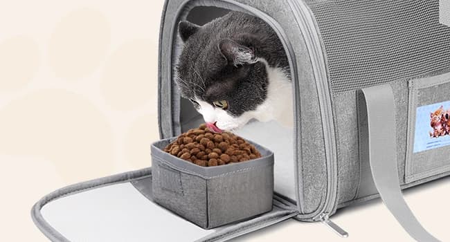 Cat Carriers Soft-Sided Cat Carrier Soft(Up to 16 Lbs) — Breathable Pet Bag — Ventilation and Comfort