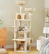 Cat Tunnel S Shape Cat Tunnels for Large and Indoor Cats 51”Long — collection imagery