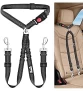 Small Dog Harness and Leash Set — collection imagery