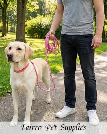 Long Dog Training Leash,Heavy Duty Reflective Rope Lead for Small, Medium, and Large Dogs ,6FT 10FT 15FT 30FT — collection imagery