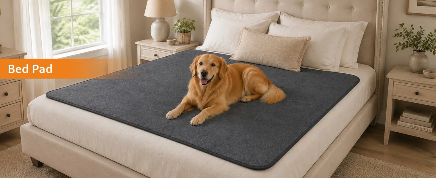 Washable Pee Pads for Dogs — 2 Pack Fast Absorbent Dog Mats,72"x72" — collection imagery
