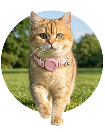 Cat Harness and Leash with Bat Wings Escape Proof Adjustable — collection imagery