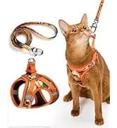 Adjustable Cat Harness and Leash Set — Escape Proof — collection imagery