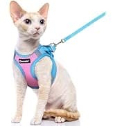 Cat Harness and Leash Set — Adjustable Pet Straps — collection imagery