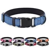 Long Dog Leash — 10/15/20/30/50FT Dog Training Leash with Soft Handle — collection imagery