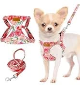 Small Dog Harness and Leash Set — collection imagery