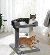Cat Tunnel S Shape Cat Tunnels for Large and Indoor Cats 51”Long — collection imagery