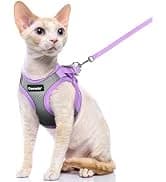 Cat Harness and Leash Set — Adjustable Pet Straps — collection imagery