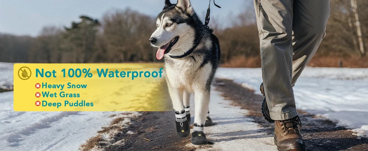 Dog Shoes for Large Medium Dogs — Dog Boots for Hot Pavement Size6 — product details