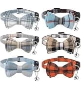 2 Pack Cat Harness and Leash with Collar Set — collection imagery
