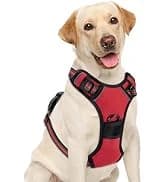 Dog Harness — No Pull Pet Vest for Large Dog — collection imagery