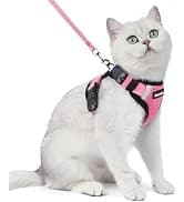 Cat Harness and Leash Set — Adjustable Pet Straps — collection imagery
