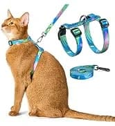 Adjustable Cat Harness and Leash Set — Escape Proof — collection imagery