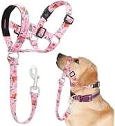 Reflective Dog Rain Coat - Waterproof Adjustable Pet Raincoat Jacket — Lightweight Hooded Dog Rain Coat Poncho — collection imagery