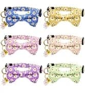 2 Pack Cat Harness and Leash with Collar Set — collection imagery