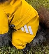 Dog Raincoat — Waterproof Dog Rain Jacket with Hood — collection imagery